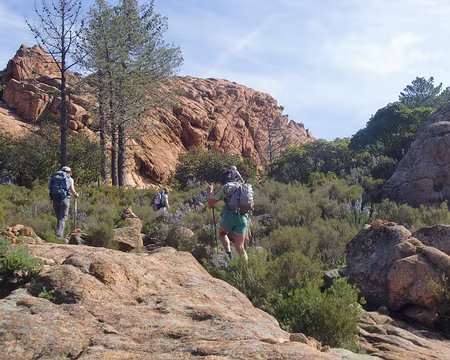 montée au Capu d'Orto du romarin partout