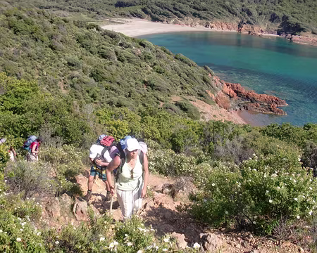 le chemin du facteur le chemin du facteur