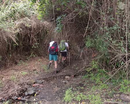 les sentiers corses les sentiers corses