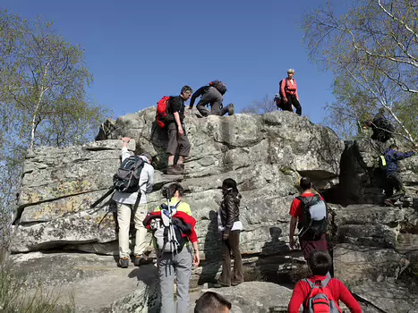 2010-04 Fontainebleau - 25 bosses