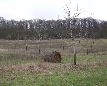 001 Dimanche de Pâques dans l'Oise