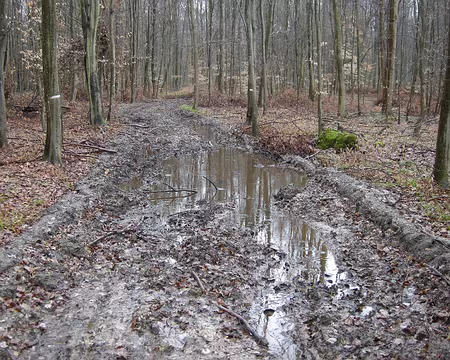 002 Une matinée printanière et pluvieuse