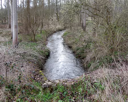 017 Près de l'Abbaye