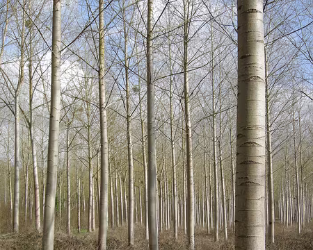 018 Peu avant Vaumoise, l'éclaircie tant espérée...