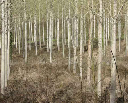 019 ...arrivait enfin !