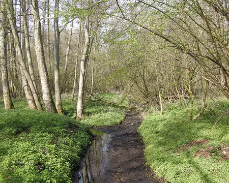 004 Peu après Gazeran