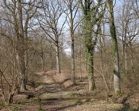 006 Chemin d'exploitation