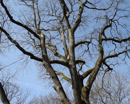 007 Mister President