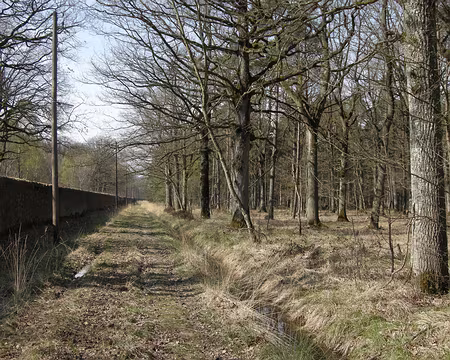 008 Le long du Grand Parc