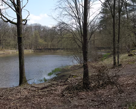 010 ...près de l'étang du Coupe-Gorge