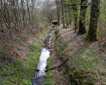 013 Peu avant les Bréviaires