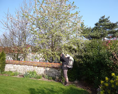 PXL000 Dominique photographie ...