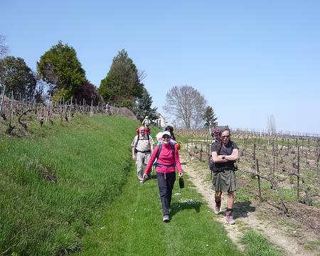 PXL004 Le groupe a trouvé du ravitaillement pour l'apéritif