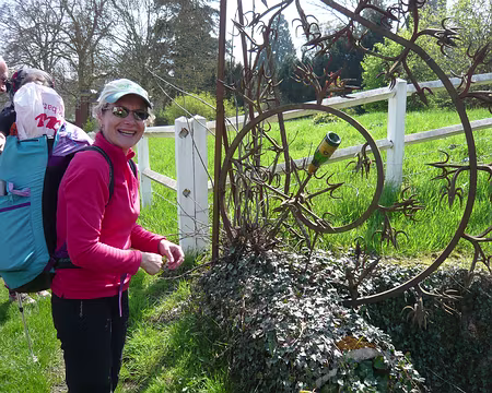 PXL006 Les arbres à Champagne