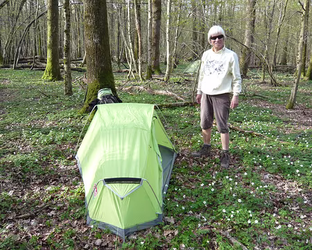PXL015 Montage du camp dans un sous-bois fleuri