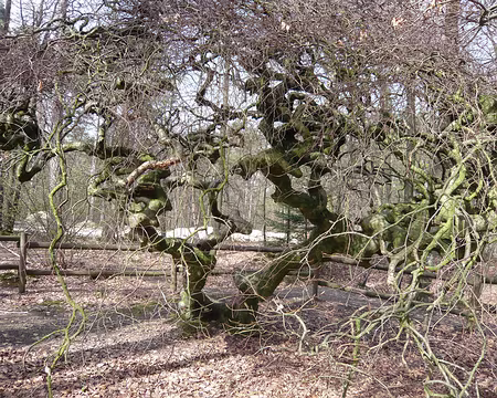 PXL029 Et enfin les vrais 