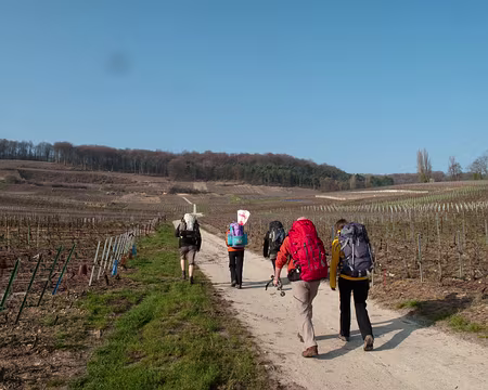 10RC07_CK_02 C'est plat...