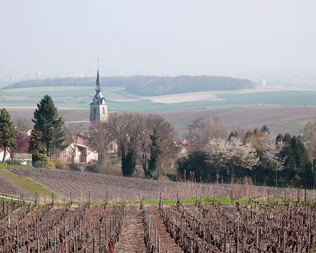 10RC07_CK_03 Brume de chaleur en Avril, Noël en Décembre