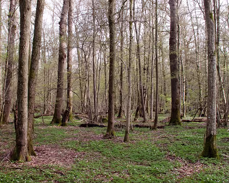 10RC07_CK_07 Coin de bivouac