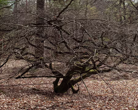 10RC07_CK_08 Vrai fauX