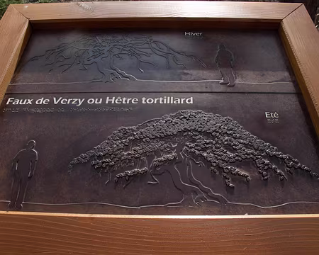 10RC07_CK_09 Je croyais qu'un tortillard c'était un train