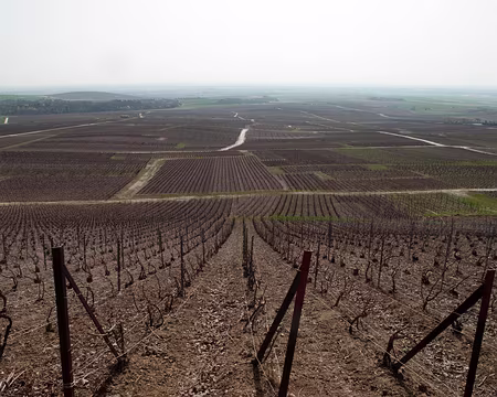 10RC07_CK_15 C'est quel sep qui fait les bulles