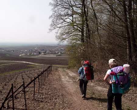 10RC07_CK_16 En louvoyant entre les vignes on arrive à Louvois