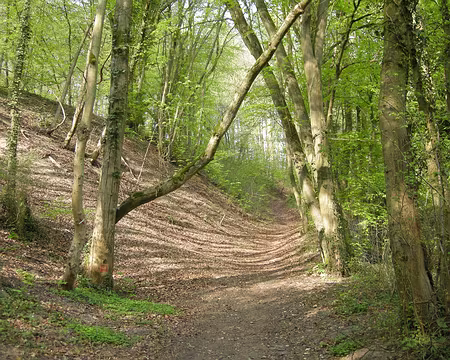 003 Peu après Viarmes