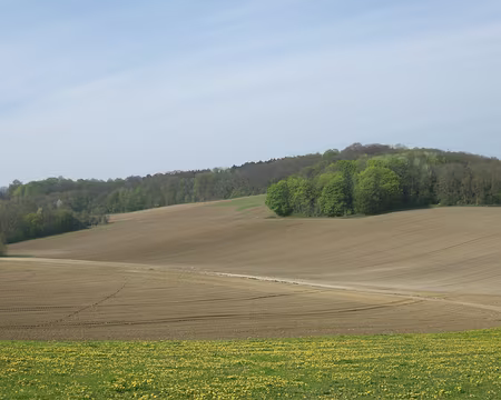 010 Paysage changeant près de Beaumont-sur-Oise