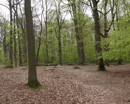 014 Aux abords de la Pierre Turquaise,