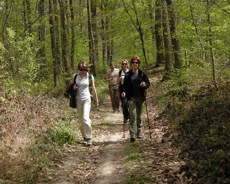 017 Route de Stors (forêt de l'Isle-Adam)