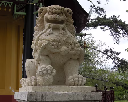 020 Un des lions montant la garde