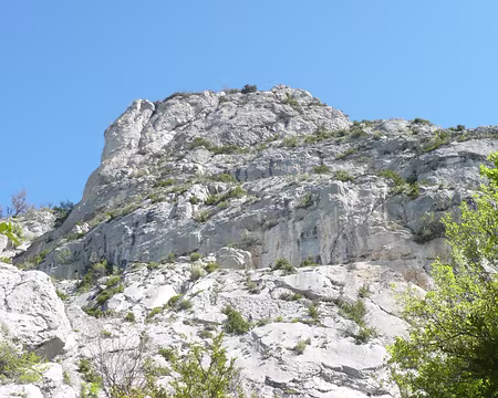 PXL007 Oui oui c'est bien par là qu'on monte