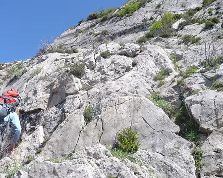 PXL014 Alors qu'est-ce que vous en dites ?