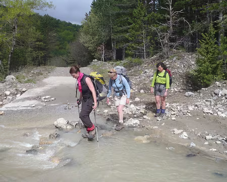 PXL026 Hélène se concentre sur sa tâche
