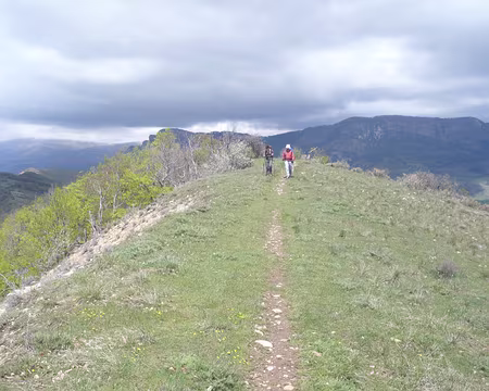 PXL029 Déjà ensemble