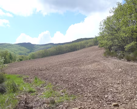 PXL031 Pour la lavande il faudra repasser un peu plus tard