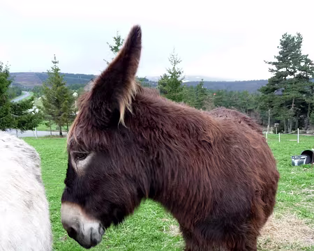 PXL015 Mon meilleur profil