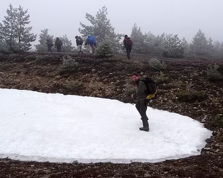 PXL017 Mi-Mai : C'est le printemps et les saintes glaces !