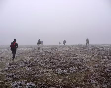 PXL020 Groupe dispersé