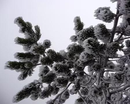 PXL031 L'humidité prise par le froid