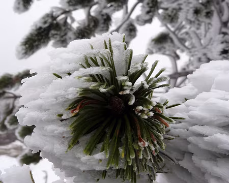 PXL032 L'humidité prise par le froid