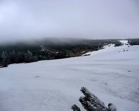 PXL035 Bientôt la terre ferme