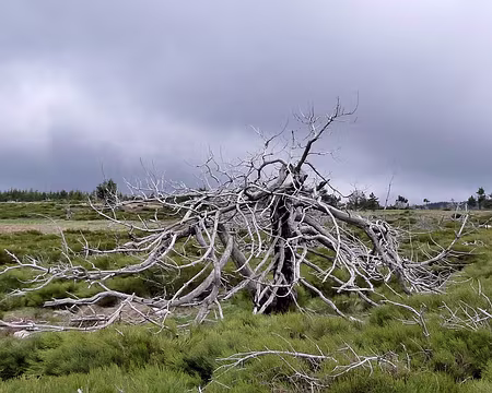 PXL039 Que s'est-il passé ici ?