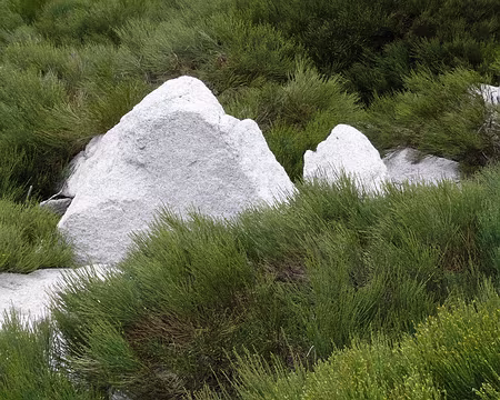 PXL040 Un petit coin Zen