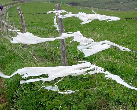 PXL046 Le vent omniprésent