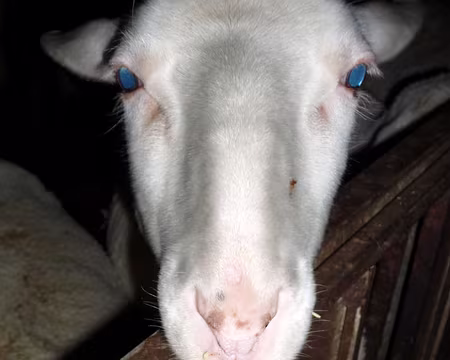 PXL054 Un regard venu d'ailleurs