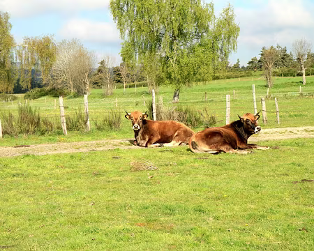 PXL002 Demoiselles d'Aubrac