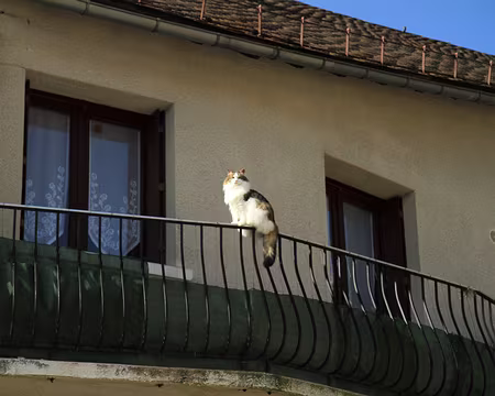 PXL011 Allez, fais un sourire !