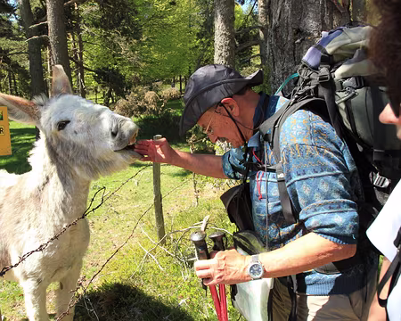 PXL018 Il reconnait bien son maître !